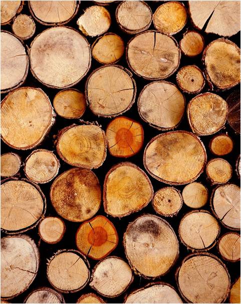 本色試卷紙 本色試卷紙